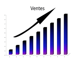 chaux-saintpierre-courbe-ventes