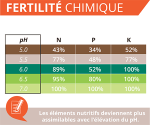 ertilite-chimique-NPK-chaux-saintpierre